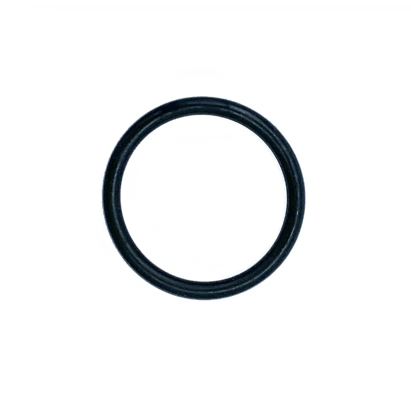213279-6 ANEL O RING 18 M