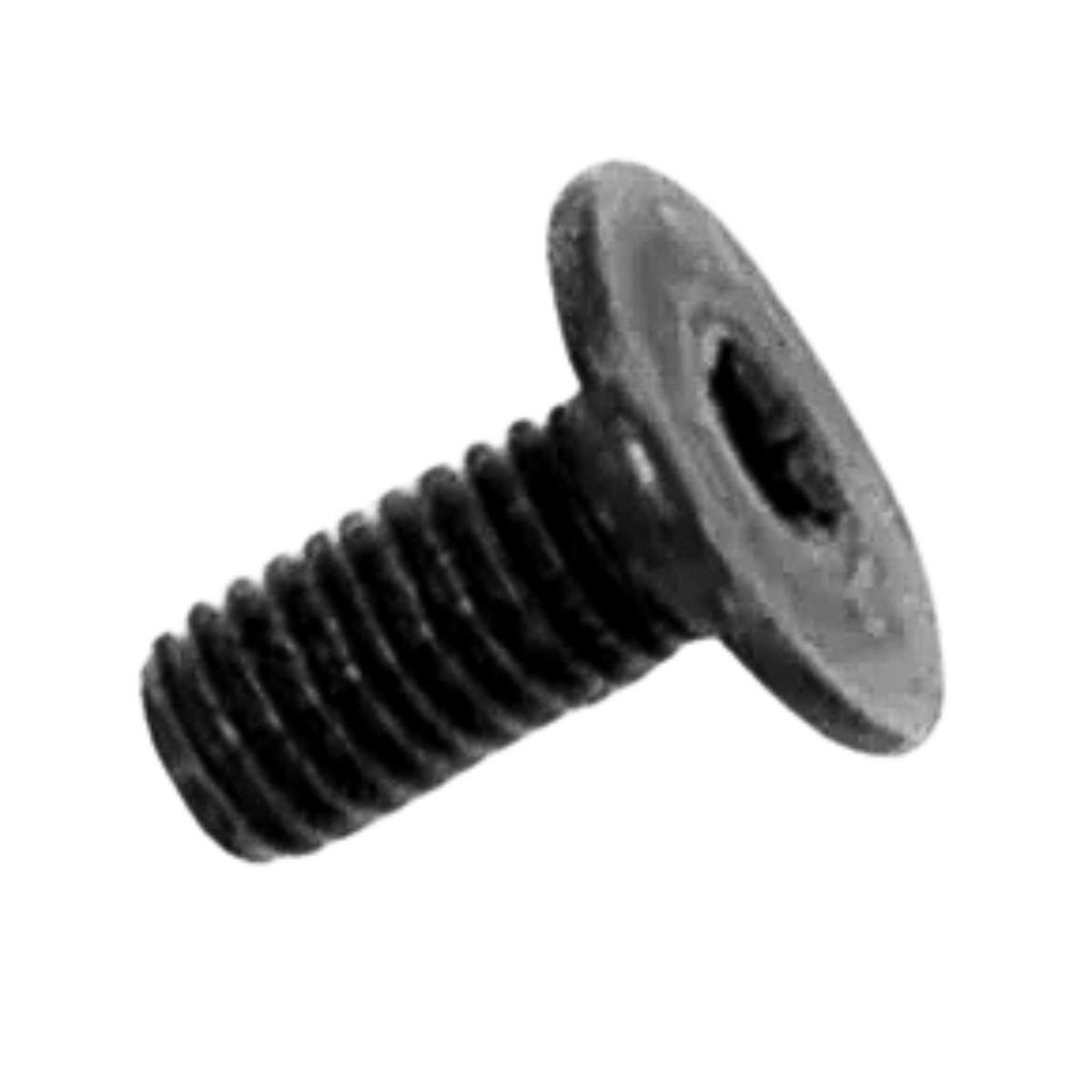 385915-04 PARAFUSO FLANGE M5X10MM T20 ACO DWE560 D